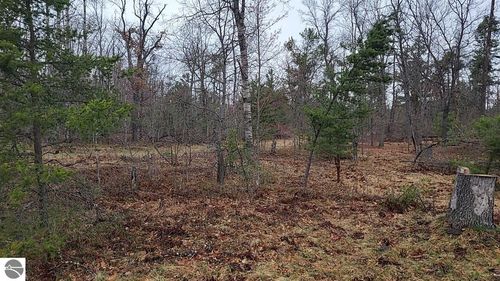 4031 Diamond Drive, Grayling, MI, 49738 | Card Image