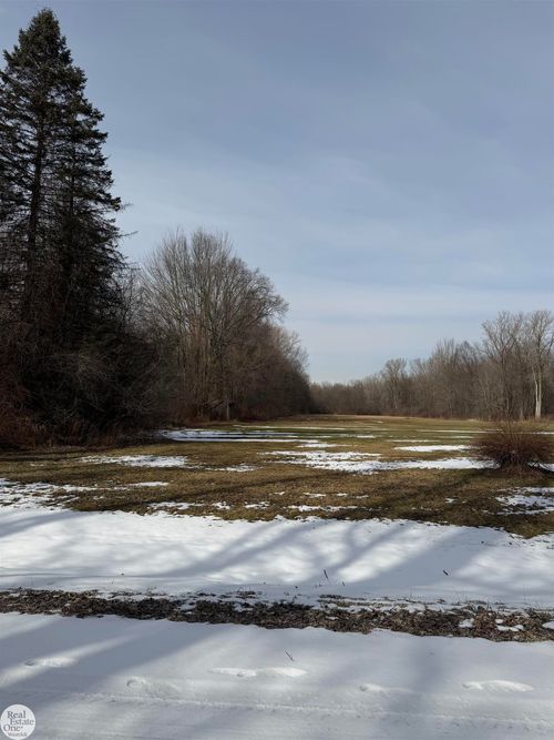 0 Genaw Road, Cottrellville Township, MI, 48039 | Card Image