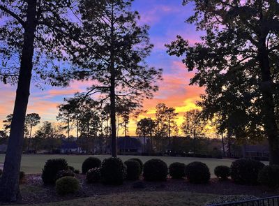 229 White Cedar Way has views across the fairway of the 13th hole of the Nicklaus Course at The Reserve Club, enabling expansive views to enjoy day and night! | Image 3