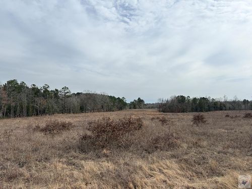 TBD Texas Highway 8, Linden, TX, 75563 | Card Image