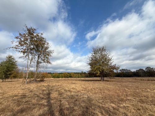 0000 Springfield Rd, Williston, SC, 29853 | Card Image