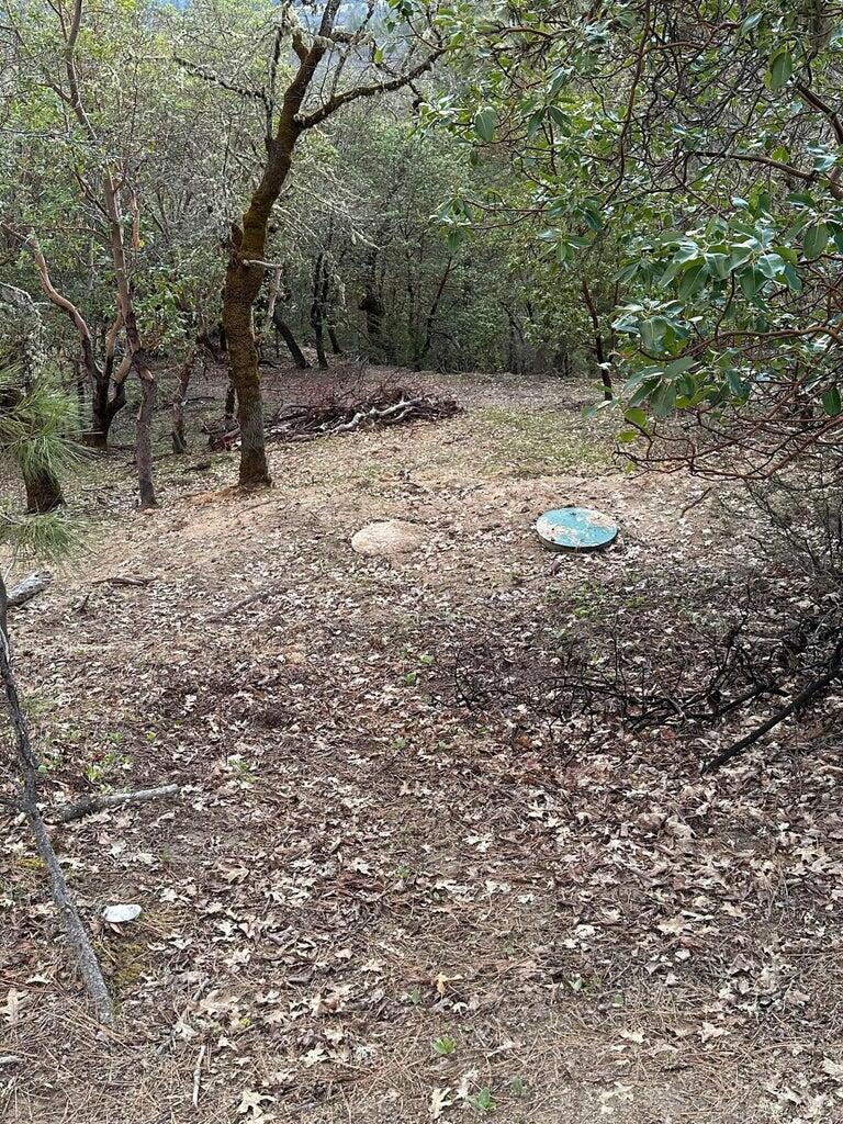Land in Grants Pass 5
