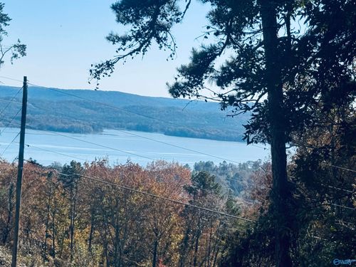 1644 Baker Mountain Rd, Grant, AL, 35747-9690 | Card Image