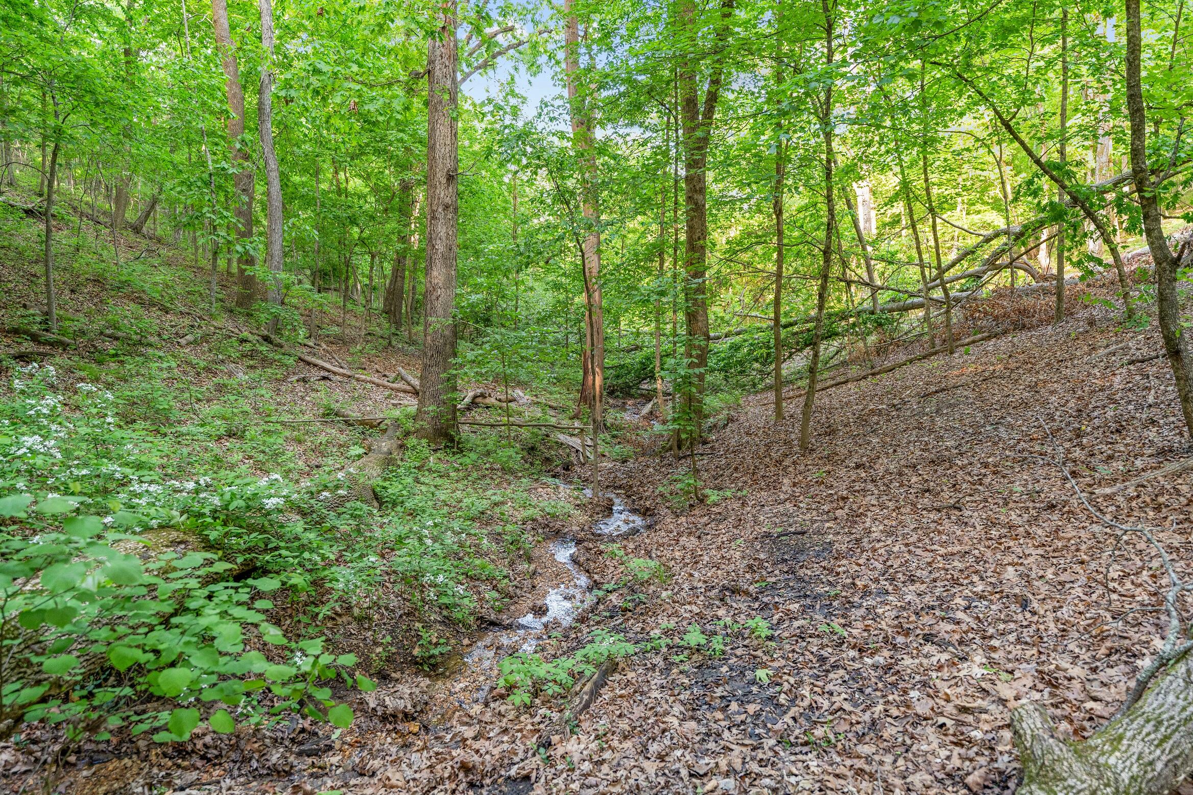 Land in Branson 5