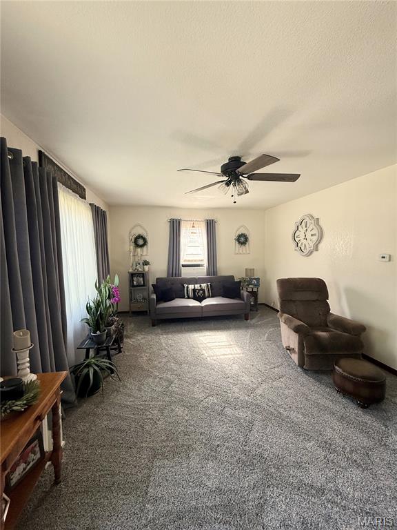 Residential in Brashear 4