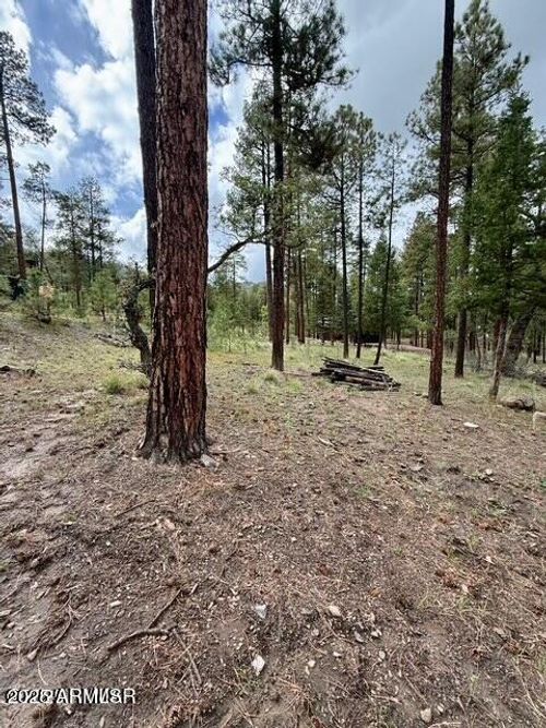 28-7 Eric Lane, Alpine, AZ, 85920 | Card Image