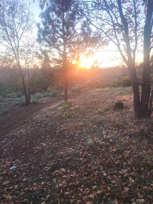 19855 Incense Cedar Trl, Groveland, CA, 95321-9491 | Card Image