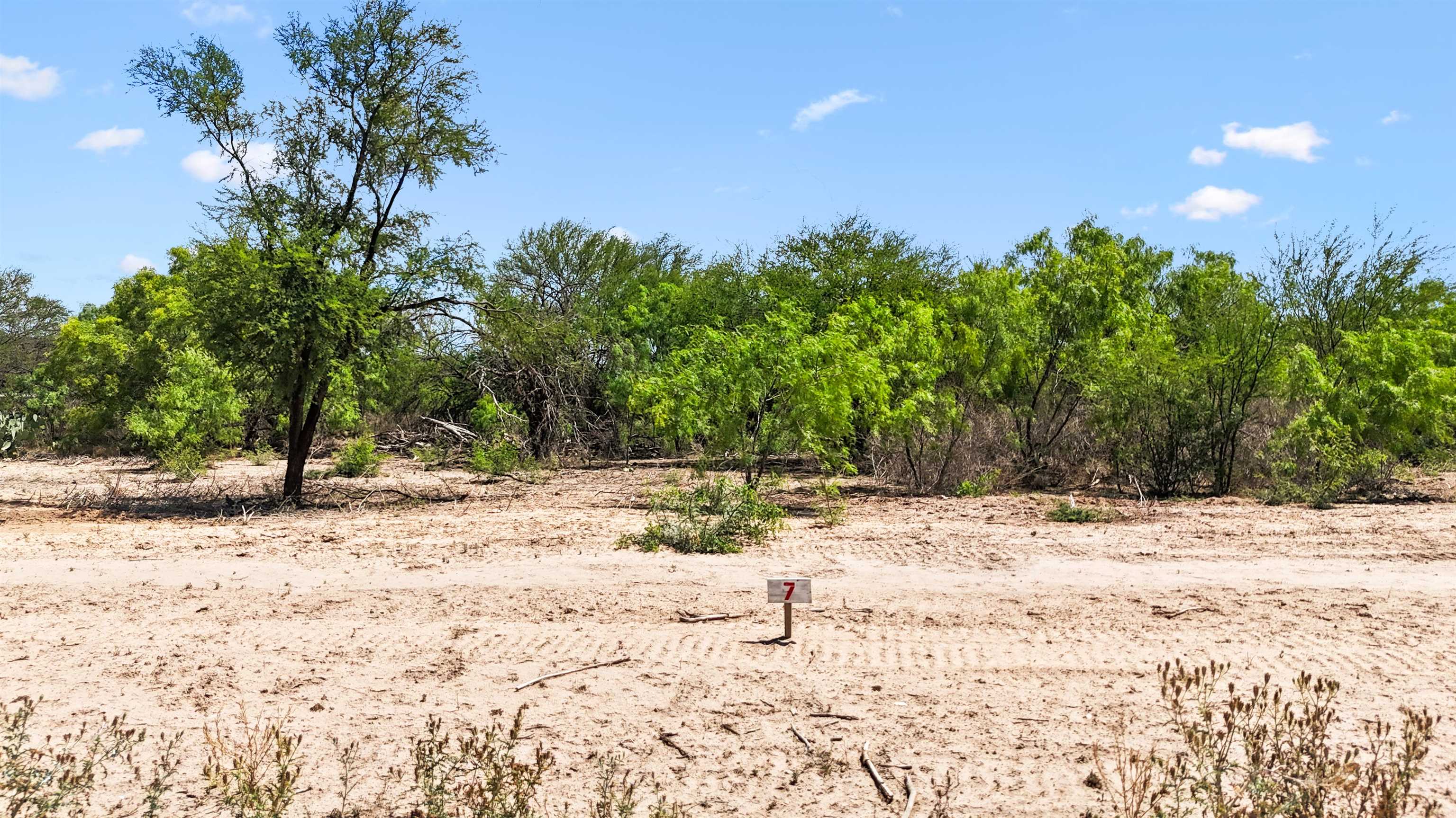 Land in Del Rio