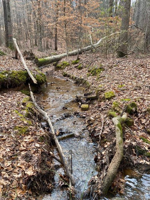 lot-7-8-9-and-10-0 County Road 372 Rd, Other, MS, 38852 | Card Image