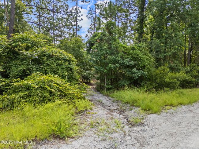 Wooded | Image 19