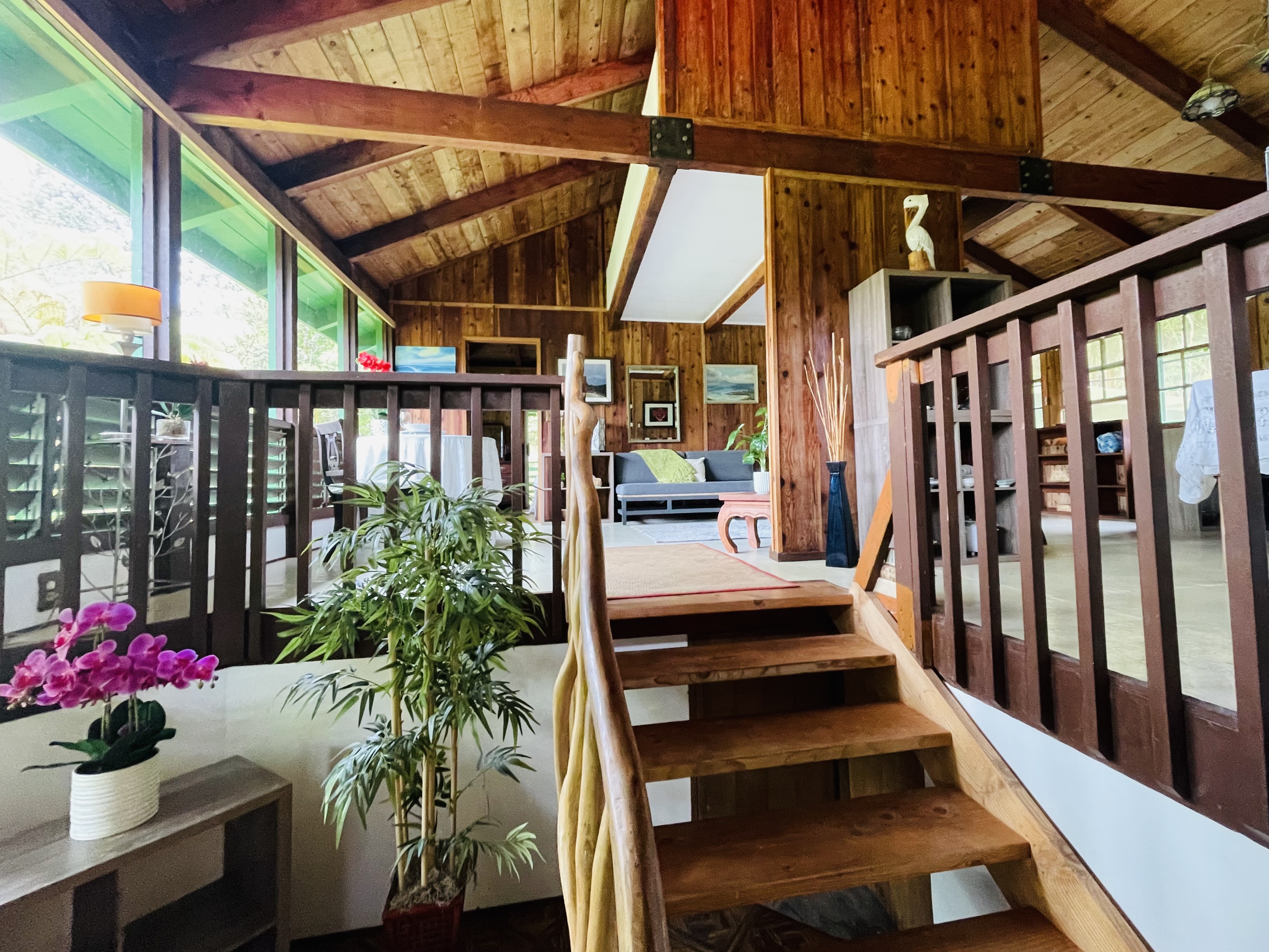 Residential in Volcano 2