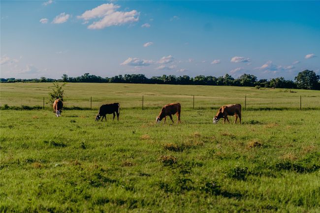 View of yard with a view of countryside | Image 37