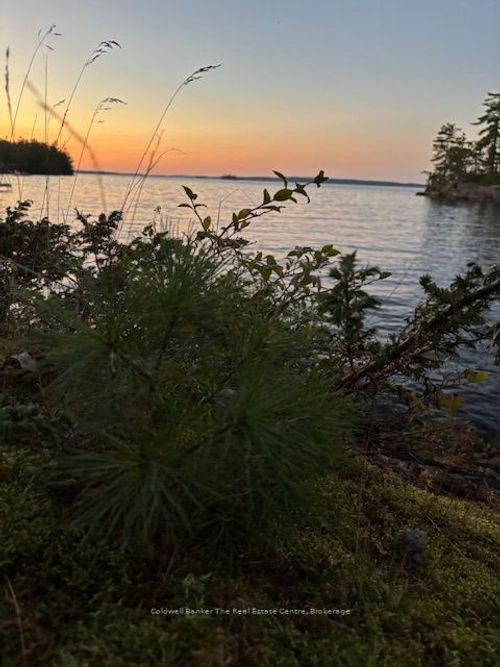 1355 Narrows Rd, Gravenhurst, ON, P1P1R2 | Card Image