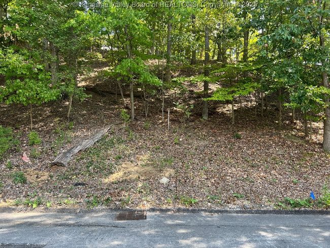 0 Harmony Ln, Home with 0 bedrooms, 0 bathrooms and null parking in South Charleston WV | Image 8