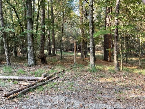 00 Winding Creek Dr, Trinity, TX, 75862 | Card Image