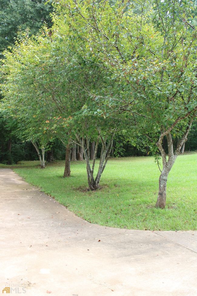 337 Shell Rd, House other with 3 bedrooms, 2 bathrooms and null parking in Palmetto GA | Image 7