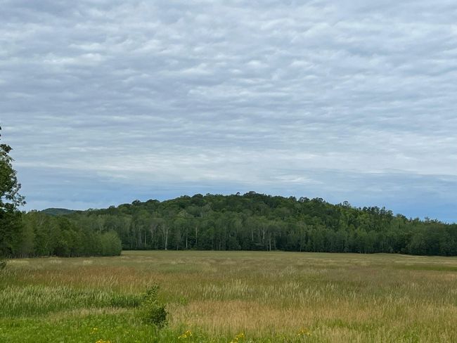 Fields and Forest | Image 21