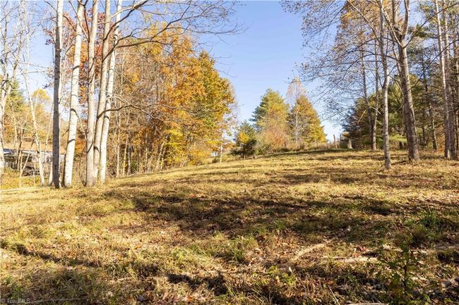 0 Laurel Creek Rd Ne, Home with 0 bedrooms, 0 bathrooms and null parking in Pilot VA | Image 25