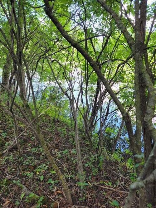 Lt1-3 Road L, Merton, WI, 53066 | Card Image