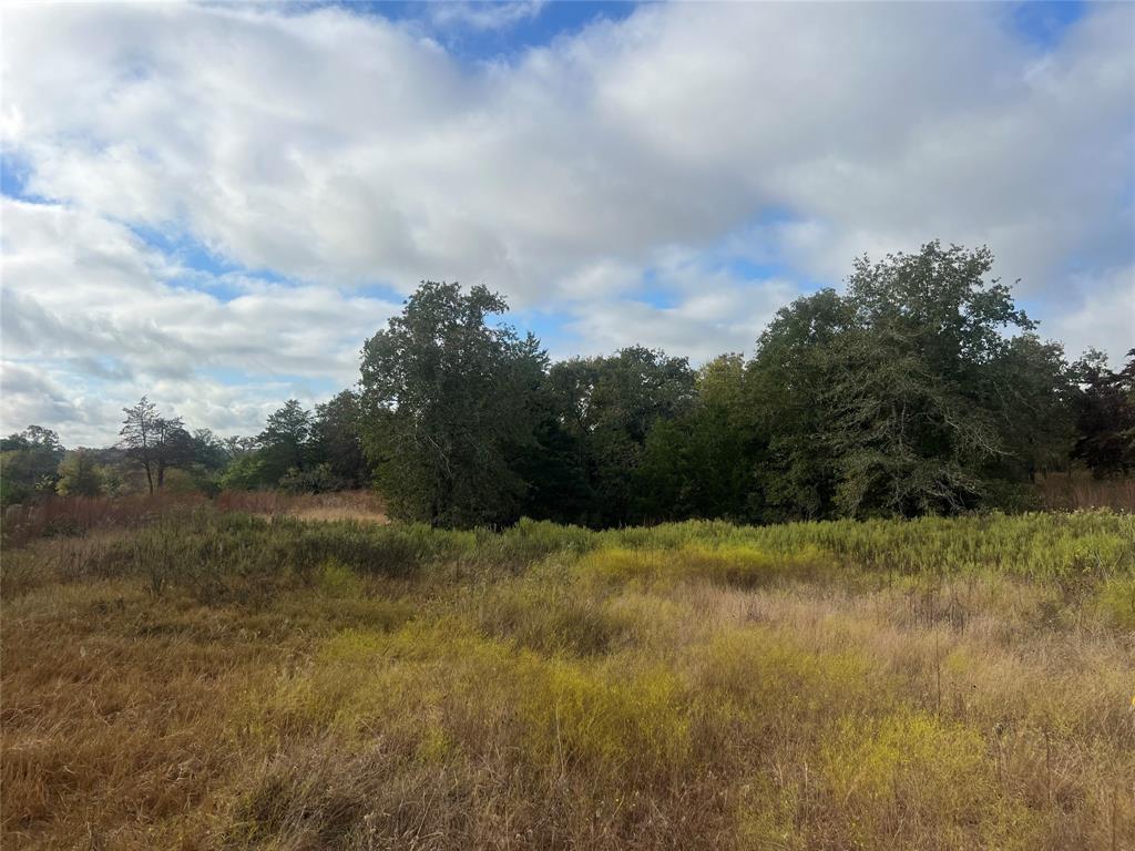 Land in Lexington 3