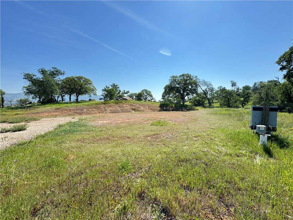 Land in Catheys Valley 2