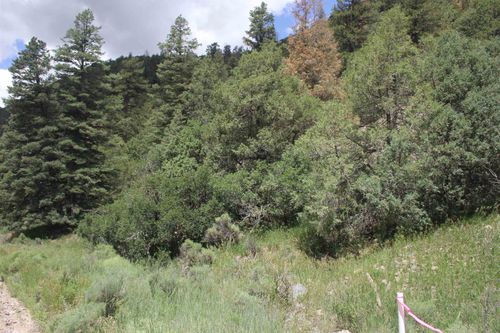 5 Cabresto Canyon, Questa, NM, 87556 | Card Image