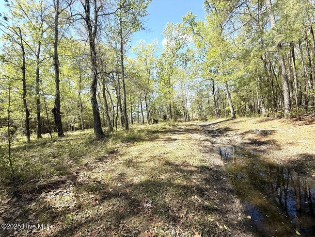 48 Sunset Point Rd, Home with 0 bedrooms, 0 bathrooms and null parking in Belhaven NC | Image 16