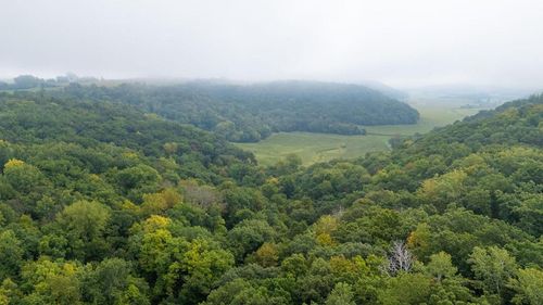 TBD (Lot 4) Goat Back Rd, Pepin, WI, 54759 | Card Image