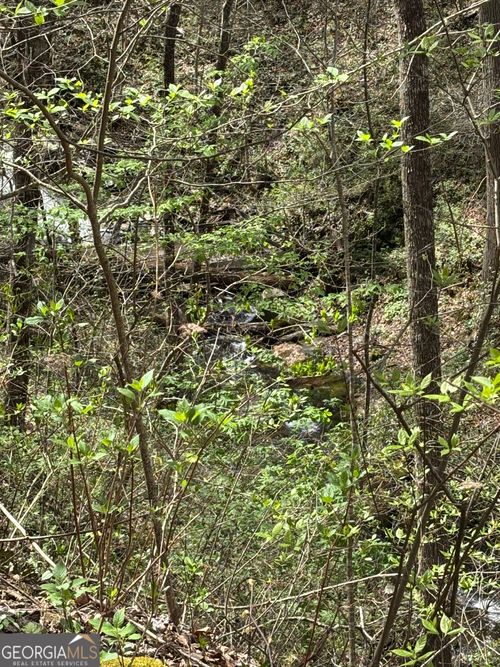 0 Laurel Ln, Dawsonville, GA, 30534 | Card Image