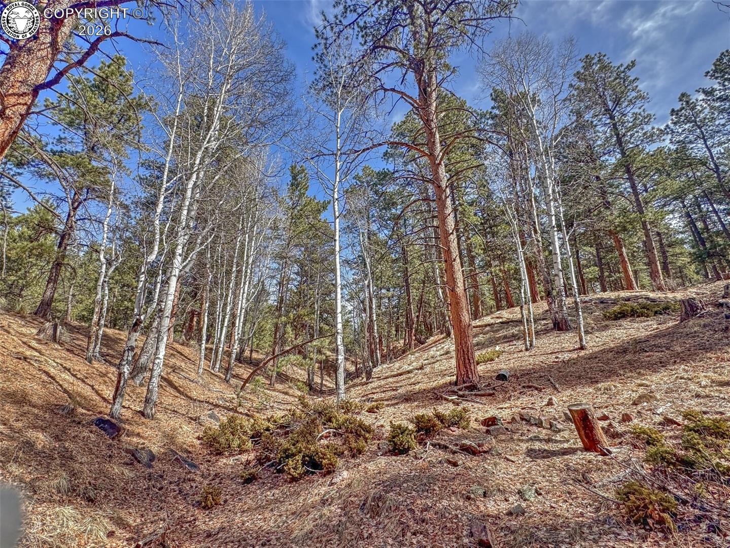 Land in Westcliffe 2