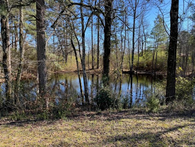 1860 Highway 19 N, House other with 3 bedrooms, 3 bathrooms and null parking in Murfreesboro AR | Image 17