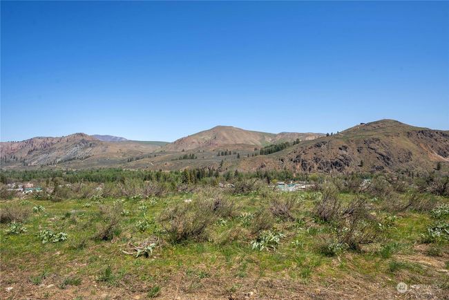 0 Lot 4 Isabella Ln, Home with 0 bedrooms, 0 bathrooms and null parking in Twisp WA | Image 9