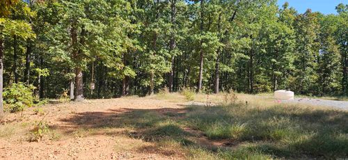 229 Elmbrook Ln, Yellville, AR, 72687-8229 | Card Image