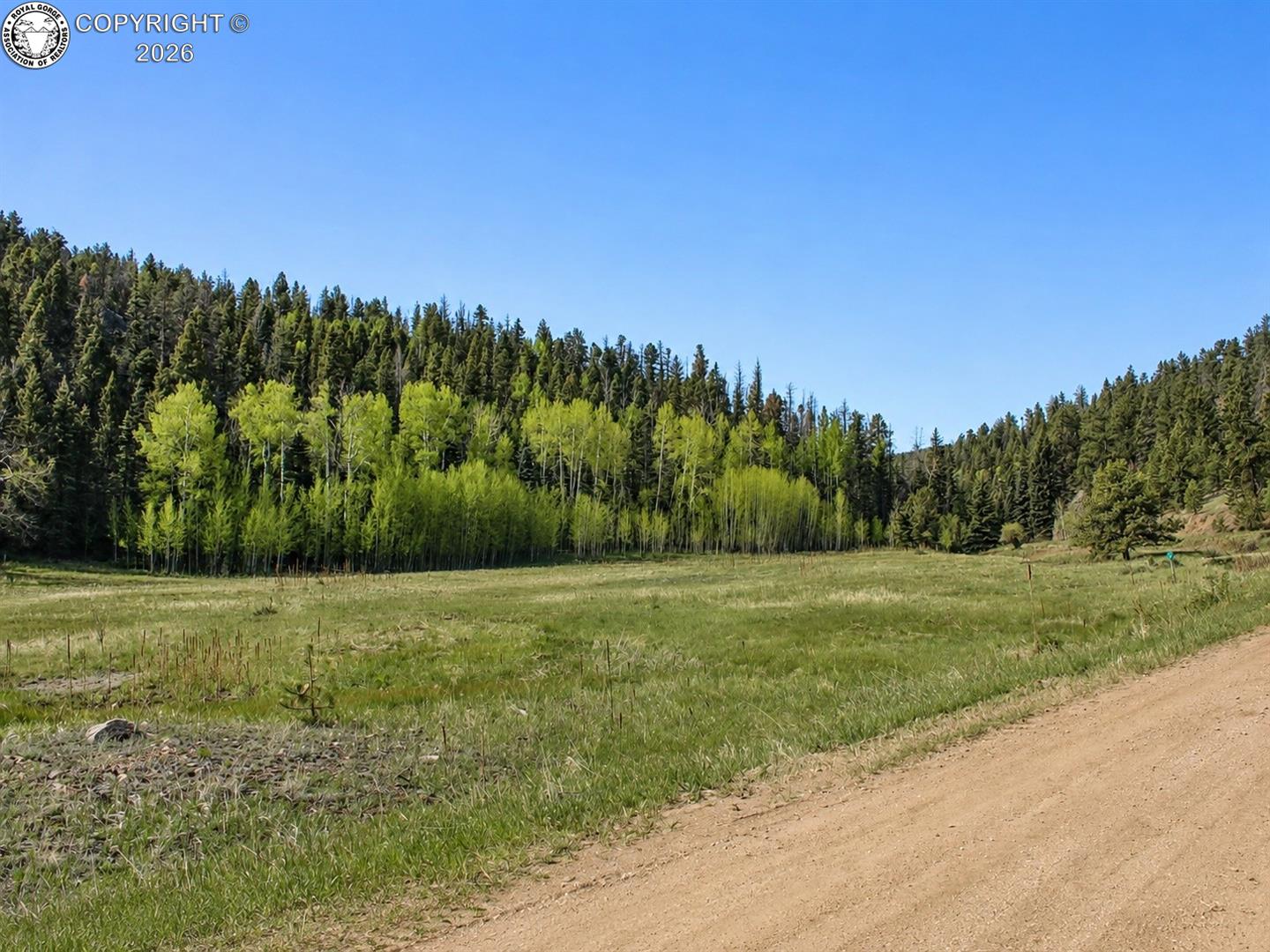 Land in Westcliffe 2