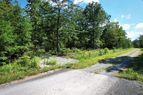 0 Big Bluff Vw, Pikeville, TN, 37367 | Card Image