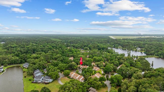 Aerial view of a forest and a large body of water | Image 23