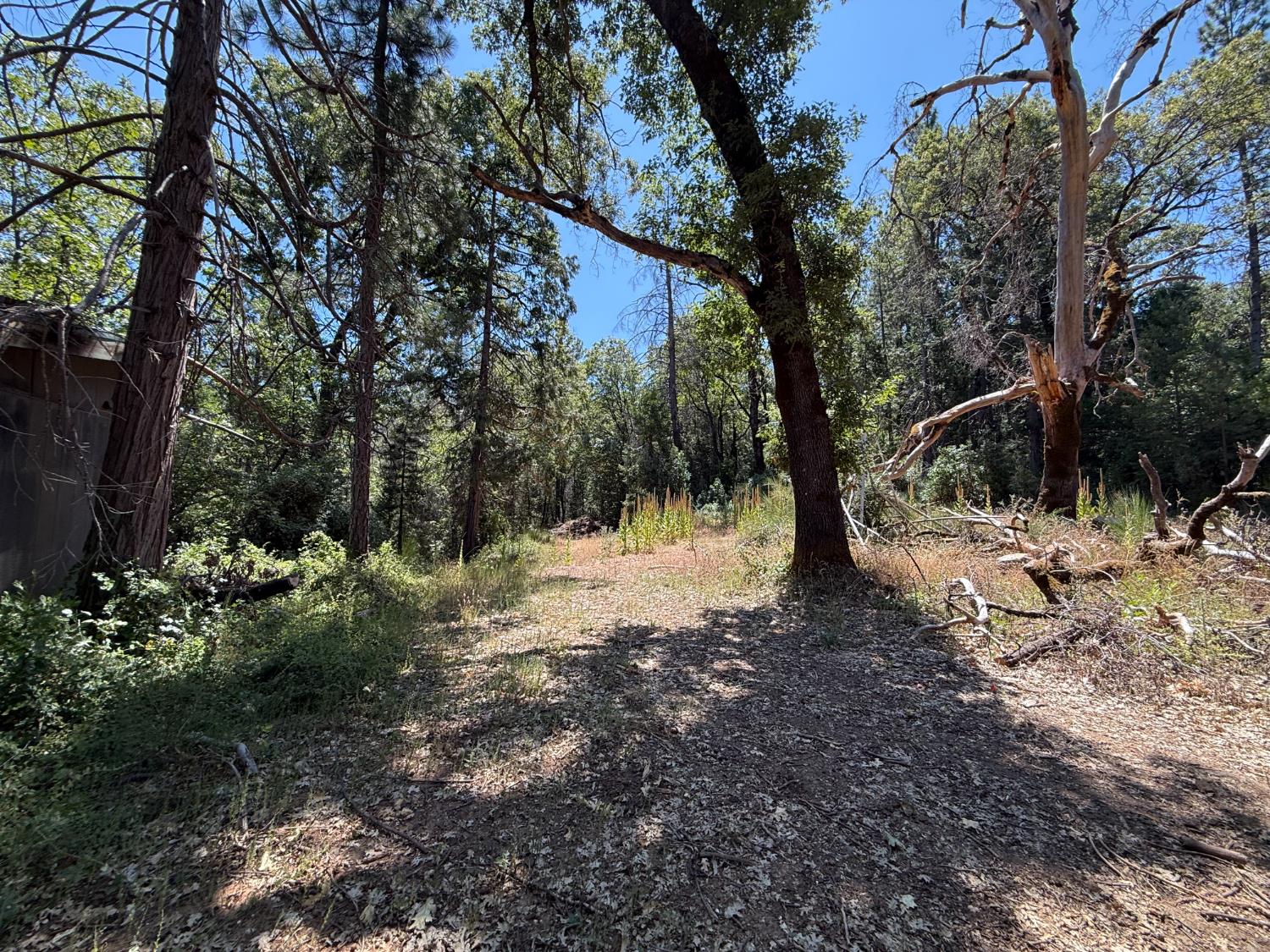 Land in Nevada City 3