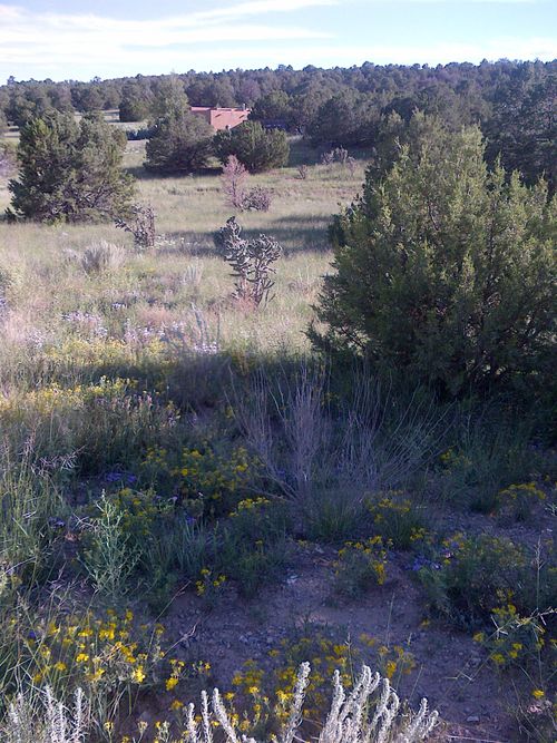 0 Hillburn Ct, Edgewood, NM, 87015 | Card Image