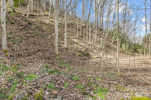 26-00 Lady Bug Ln, Maggie Valley, NC, 28751 | Card Image