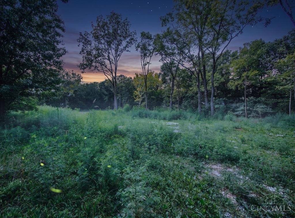 Land in Turtle Creek Twp 5
