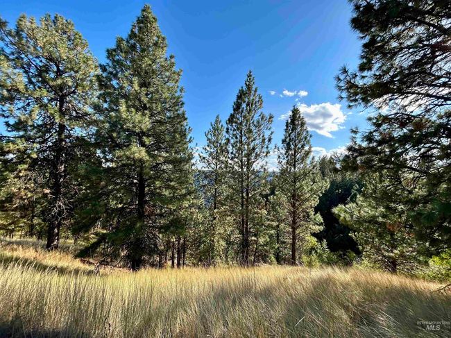 1510 Summitview Dr, House other with 2 bedrooms, 1 bathrooms and null parking in Orofino ID | Image 32