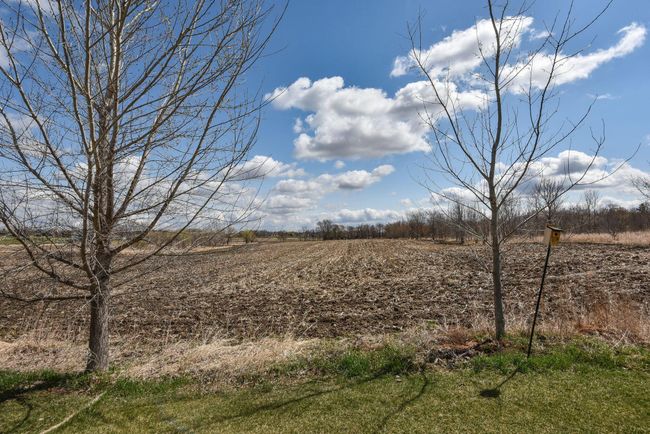 Private Country Views!! | Image 20