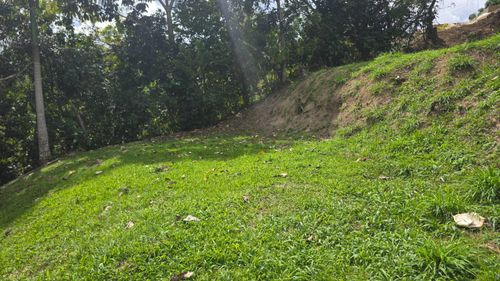 Bo. Las Palmas Carr. 140 Int, Ent. Los Ramos Sector Laf, Utuado, PR, 00641 | Card Image