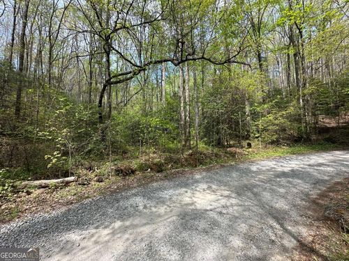20-LOT 20 Big Pine Ct, Ellijay, GA, 30536 | Card Image