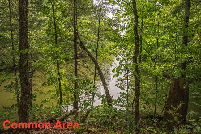 4042 Cabin Land Dr, Home with 3 bedrooms, 3 bathrooms and null parking in Radford VA | Image 47