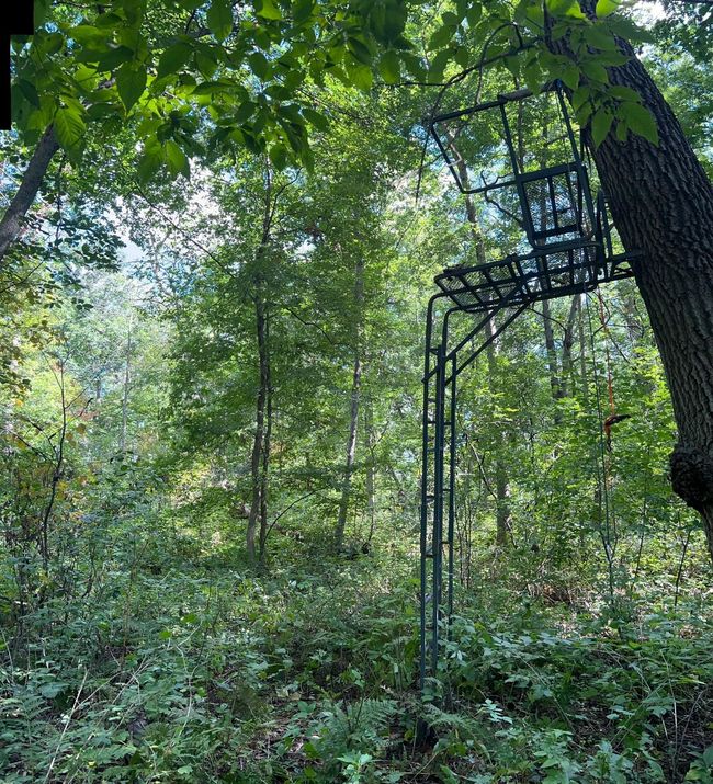 land 1.jpg | Image 60