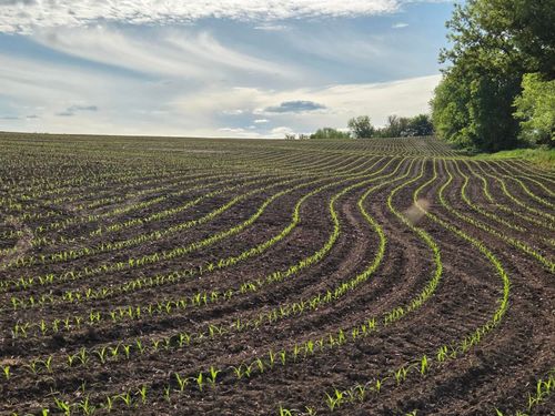 18.5 Ac County Road W Road, BENTON, WI, 53811 | Card Image