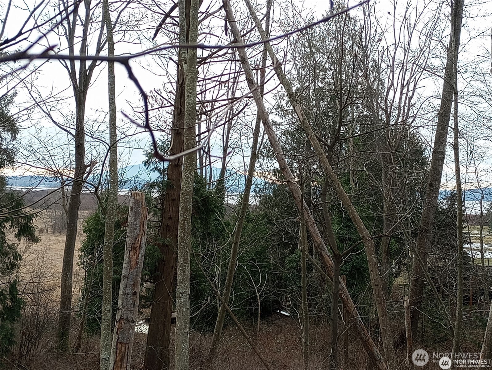 Land in Ferndale