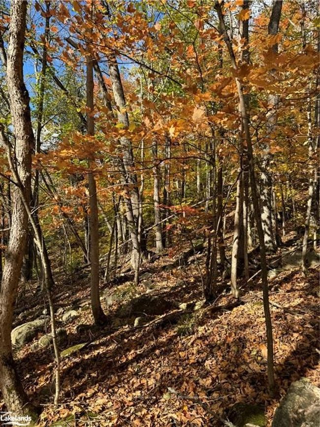 353C Balsam Creek Rd, Home with 0 bedrooms, 0 bathrooms and null parking in Loring ON | Image 7