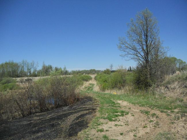 39769 Kestrel Ave, House other with 1 bedrooms, 1 bathrooms and null parking in Tamarack MN | Image 15